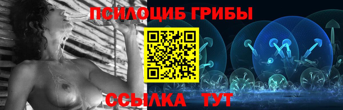 Галлюциногенные грибы Cubensis  Вход с VPN  Советский  Псилоцибиновые грибы Psilocybine cubensis 